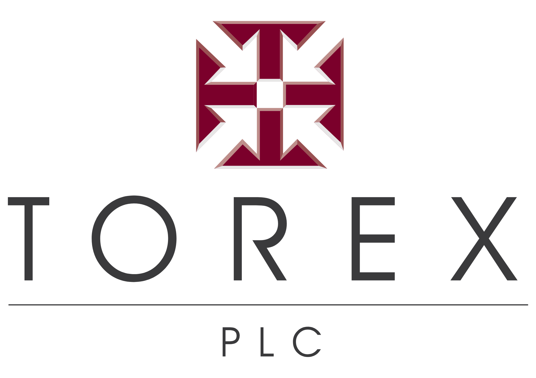 Torex Semiconductor Ltd 原厂 LOGO