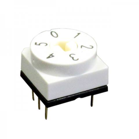 RD10RA6RTT