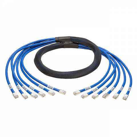N261-006-6MM-BL 模块化以太网电缆（RJ45，RJ11）