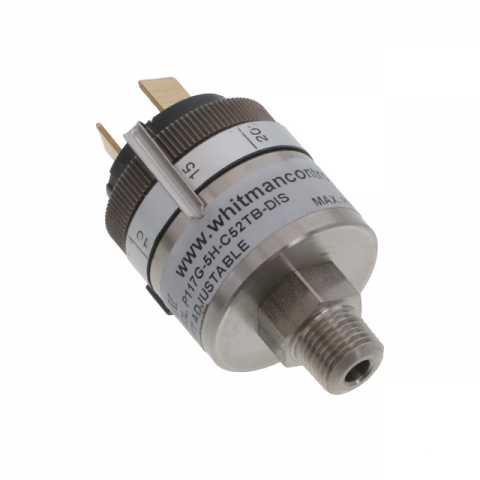 P117G-5H-C52TB-DIS 压力传感器，变送器-工业