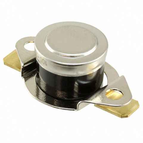 2455RM 01000331 温控器 - 机械式 - 工业