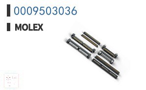 0009503036