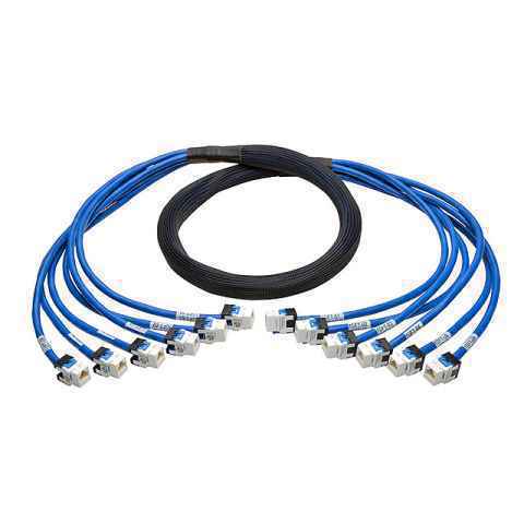 N261-010-6FF-BL 模块化以太网电缆（RJ45，RJ11）