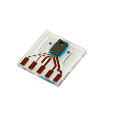 CONNECTOR CAP LPG10 传感器，变送器，配件