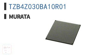 TZB4Z030BA10R01 电容