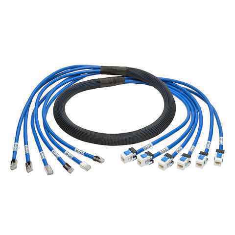 N261-010-6MF-BL 模块化以太网电缆（RJ45，RJ11）