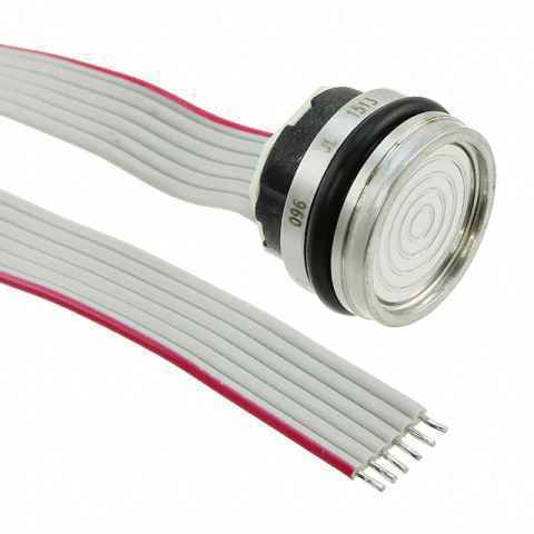 86-100G-R 压力传感器，变送器