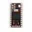SS1-IC 嵌入式 - 微控制器、微处理器、FPGA 模组