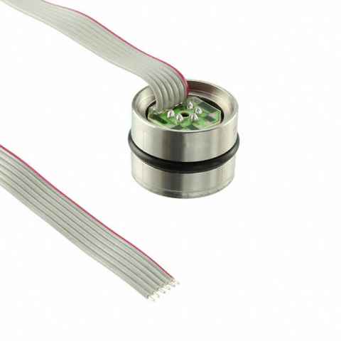154N-300G-R 压力传感器，变送器