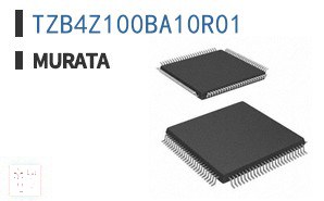TZB4Z100BA10R01 电容