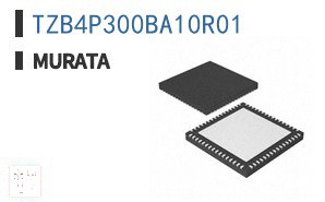 TZB4P300BA10R01 电容