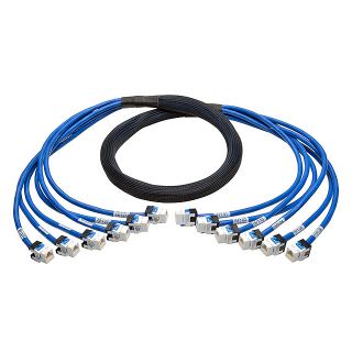 N261-015-6FF-BL 模块化以太网电缆（RJ45，RJ11）