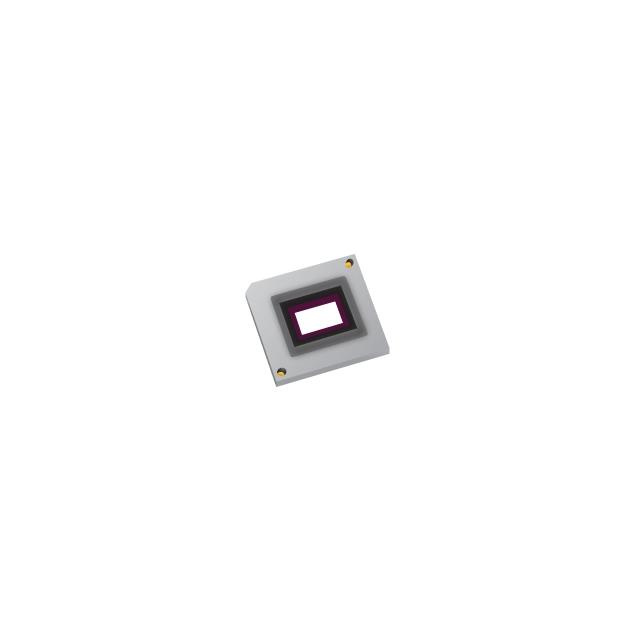 DLP670SFYR 专用 IC