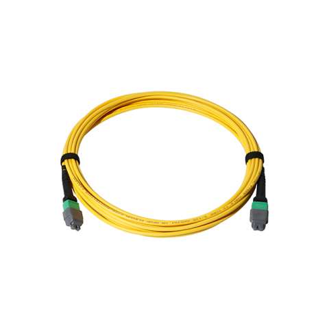 ADT-PC-2MTP-SMA1F12-PYL-5M 光纤电缆