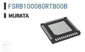 FSRB100080RTB00B 电感