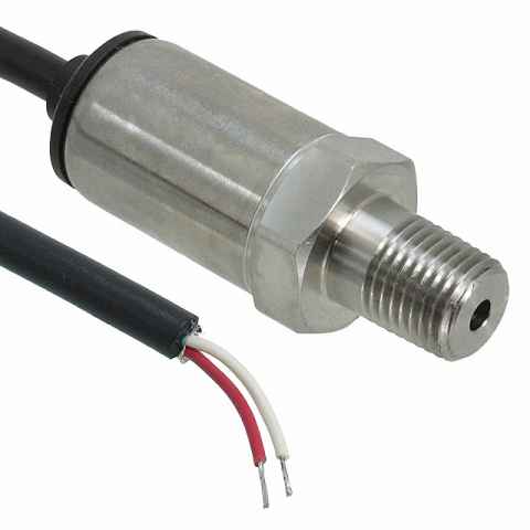 P51-3000-A-A-I12-20MA-000000 压力传感器，变送器-工业
