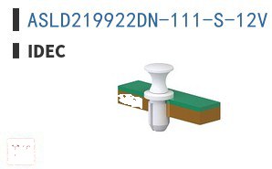 ASLD219922DN-111-S-12V 选择开关