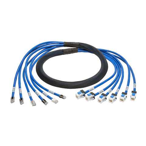 N261-015-6MF-BL 模块化以太网电缆（RJ45，RJ11）