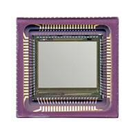 CYII5SM1300AB-QWC 图像传感器，镜头，摄像头